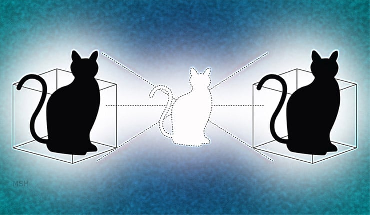 schrodinger-macskaja-2-0a22ddcd9f Schrödinger macskájának bizarr gondolatkísérlete