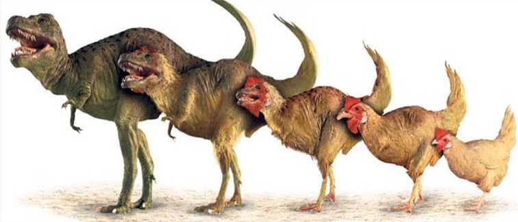 dinoszaurusz-evolucio